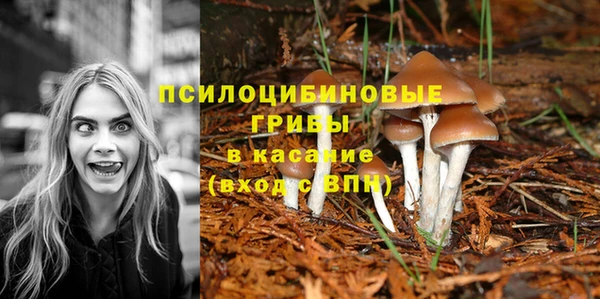наркотики Алексин
