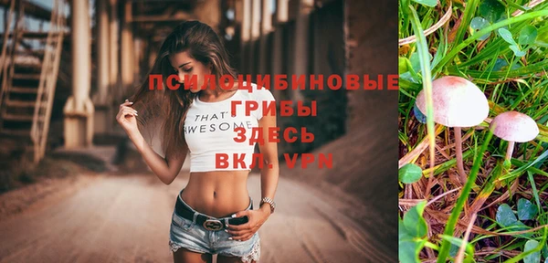 a pvp Алексеевка