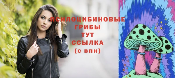 наркотики Алексин