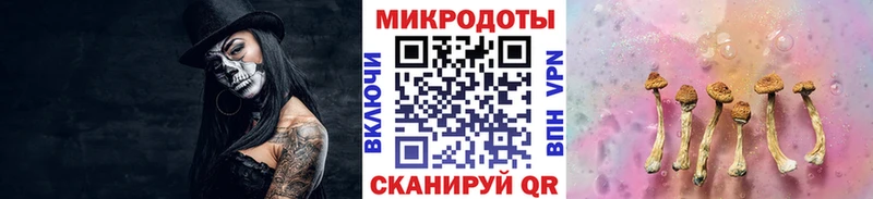 hydra онион  Игра  Псилоцибиновые грибы прущие грибы 